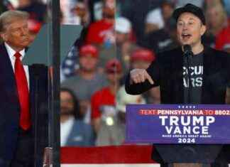 Donald Trump und Elon Musk: Herausforderungen für die Demokratie donald-trump-und-elon-musk-herausforderungen-fr-die-demokratie