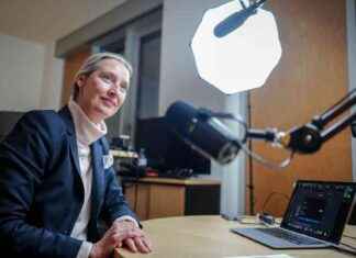 Falschaussagen von Musk und Weidel: Migration bis Nationalsozialismus falschaussagen-von-musk-und-weidel-migration-bis-nationalsozialismus