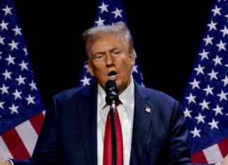 Jugendliche Meinungen zu Trump, Musk, AfD und BSW: Eine Umfrage-Studie jugendliche-meinungen-zu-trump-musk-afd-und-bsw-eine-umfrage-studie