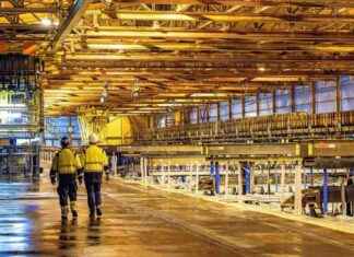 Leichter Anstieg bei den Trends leichter-anstieg-bei-den-trends