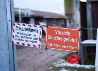 Verbot der Einfuhr deutscher Tiere nach Großbritannien: Maul- und Klauenseuche Schutzmaßnahme verbot-der-einfuhr-deutscher-tiere-nach-grobritannien-maul-und-klauenseuche-schutzmanahme