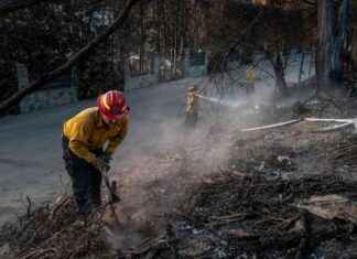 Vermeidung von Waldbrandgefahr in Los Angeles vermeidung-von-waldbrandgefahr-in-los-angeles