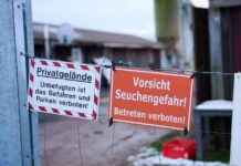 Virustyp der Maul- und Klauenseuche identifiziert virustyp-der-maul-und-klauenseuche-identifiziert