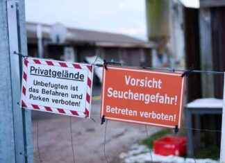 Virustyp der Maul- und Klauenseuche identifiziert virustyp-der-maul-und-klauenseuche-identifiziert