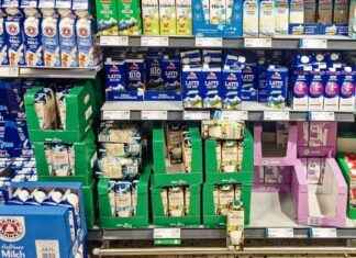 Zusammenhang zwischen Milchpreis und Ölpreis: Eine Analyse zusammenhang-zwischen-milchpreis-und-lpreis-eine-analyse