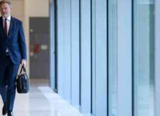 Die Herausforderungen der FDP: Warum die Partei ums Überleben kämpft die-herausforderungen-der-fdp-warum-die-partei-ums-berleben-kmpft