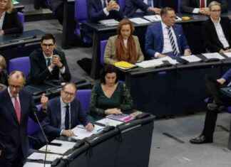 Friedrich Merz: AfD’s Dämonisierung und Angriffe friedrich-merz-afds-dmonisierung-und-angriffe