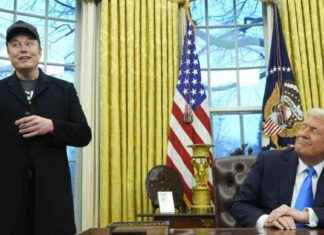 Musk und Trump: USA in Verfassungskrise? musk-und-trump-usa-in-verfassungskrise