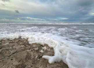 Umweltauswirkungen von PFAS in Meeresschaum an Nord- und Ostsee umweltauswirkungen-von-pfas-in-meeresschaum-an-nord-und-ostsee