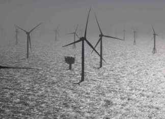 Energiewende: Plan von Eon-Chef Birnbaum und RWE-Chef Krebber erklärt energiewende-plan-von-eon-chef-birnbaum-und-rwe-chef-krebber-erklrt