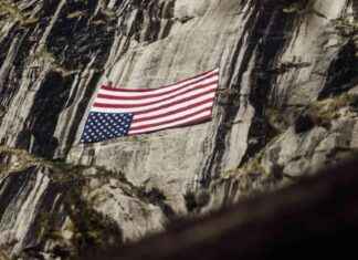 Widerstand von Behördenmitarbeitern gegen Trump und Musk widerstand-von-behrdenmitarbeitern-gegen-trump-und-musk