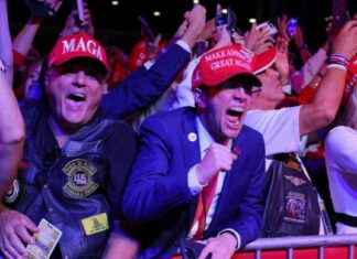 Wirtschaftsmachtkampf: Herausforderungen von Trump und AfD meistern wirtschaftsmachtkampf-herausforderungen-von-trump-und-afd-meistern