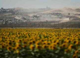 Gazakrieg: Solidarität und Selbstreflexion in der Krise gazakrieg-solidaritt-und-selbstreflexion-in-der-krise