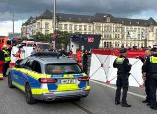 Messerangriff im Hamburger Hauptbahnhof: 18 Verletzte messerangriff-im-hamburger-hauptbahnhof-18-verletzte
