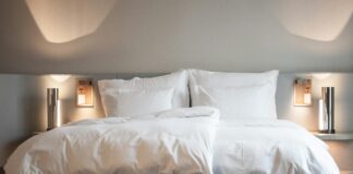 Aufstellungen Teilnehmer Vfl Wolfsburg Gegen BVB: Wer Gewinnt?