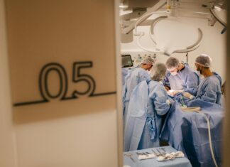 Aufstellungen Teilnehmer FSV Mainz 05 Gegen BVB – Wer Gewinnt?