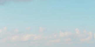 Aufstellungen Teilnehmer Al Ain Club Gegen Al-Hilal – Wer Setzt Sich Durch?