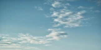 Aufstellungen: Teilnehmer 1. FC Köln Gegen Holstein Kiel – Wer Gewinnt?