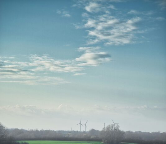 Aufstellungen: Teilnehmer 1. FC Köln Gegen Holstein Kiel – Wer Gewinnt?