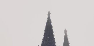 Aufstellungen Teilnehmer Hoffenheim Gegen FC Köln – Wer Siegt?