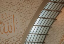 Aufstellungen Teilnehmer 1. FC Köln Gegen KSC: Wer Gewinnt?