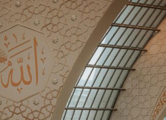 Aufstellungen Teilnehmer 1. FC Köln Gegen KSC: Wer Gewinnt?