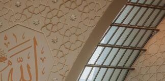 Aufstellungen Teilnehmer 1. FC Köln Gegen Hertha BSC: Wer Gewinnt?