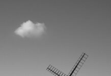 Aufstellungen Teilnehmer: FC Chelsea Gegen Brighton & Hove Albion – Wer Gewinnt?