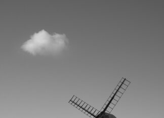 Aufstellungen Teilnehmer: FC Chelsea Gegen Brighton & Hove Albion – Wer Gewinnt?