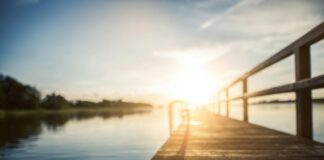 Aufstellungen Teilnehmer Holstein Kiel Gegen Borussia Dortmund: Wer Gewinnt?