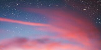 Aufstellungen Teilnehmer Darmstadt Gegen SC Freiburg: Wer Gewinnt?