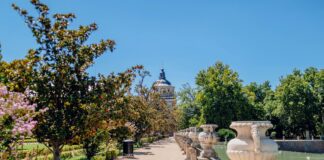 Aufstellungen Teilnehmer FC Liverpool Gegen Real Madrid – Wer Siegt?