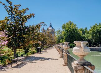 Aufstellungen Teilnehmer FC Liverpool Gegen Real Madrid – Wer Siegt?