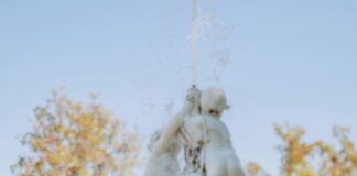 Aufstellungen Teilnehmer Real Madrid Gegen VfB Stuttgart – Wer Startet?