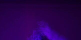 Aufstellungen Teilnehmer: Dynamo Dresden Gegen Energie Cottbus Enthüllt!