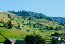 Aufstellungen Teilnehmer FC Ingolstadt Gegen SV Waldhof – Wer Gewinnt?