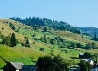 Aufstellungen Teilnehmer FC Ingolstadt Gegen SV Waldhof – Wer Gewinnt?