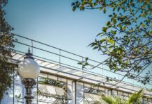 Aufstellungen Teilnehmer FCK Gegen Bayer Leverkusen – Wer Gewinnt?