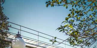 Aufstellungen Teilnehmer FCK Gegen Bayer Leverkusen – Wer Gewinnt?