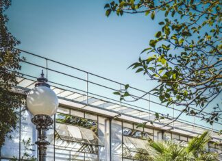 Aufstellungen Teilnehmer FCK Gegen Bayer Leverkusen – Wer Gewinnt?