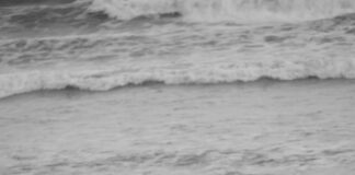 Aufstellungen Teilnehmer VfB Stuttgart Gegen Young Boys – Wer Siegt?