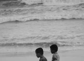 Aufstellungen Teilnehmer VfB Stuttgart Gegen Young Boys – Wer Siegt?