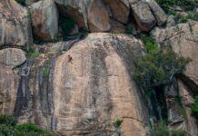 Aufstellungen Teilnehmer BVB Gegen Atlético Madrid – Wer Gewinnt?