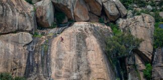 Aufstellungen Teilnehmer BVB Gegen Atlético Madrid – Wer Gewinnt?