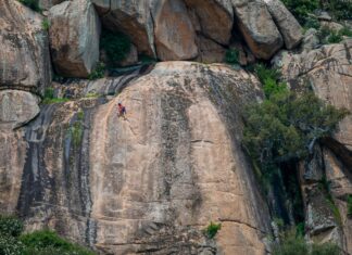 Aufstellungen Teilnehmer BVB Gegen Atlético Madrid – Wer Gewinnt?