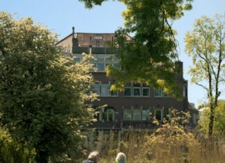 Aufstellungen: Teilnehmer Ajax Amsterdam Gegen Beşiktaş – Wer Gewinnt?