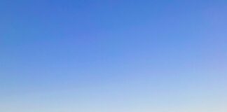 Aufstellungen Teilnehmer: Atalanta Bergamo Gegen Olympique Marseille Enthüllt!