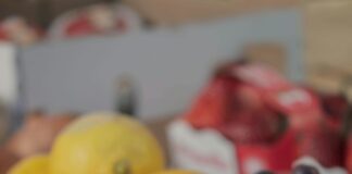 Aufstellungen Teilnehmer Borussia Mönchengladbach Gegen SC Freiburg – Wer Steht Im Fokus?