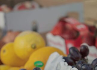 Aufstellungen Teilnehmer Borussia Mönchengladbach Gegen SC Freiburg – Wer Steht Im Fokus?