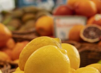 Aufstellungen: Teilnehmer Arminia Bielefeld Gegen SC Freiburg – Wer Überzeugt?